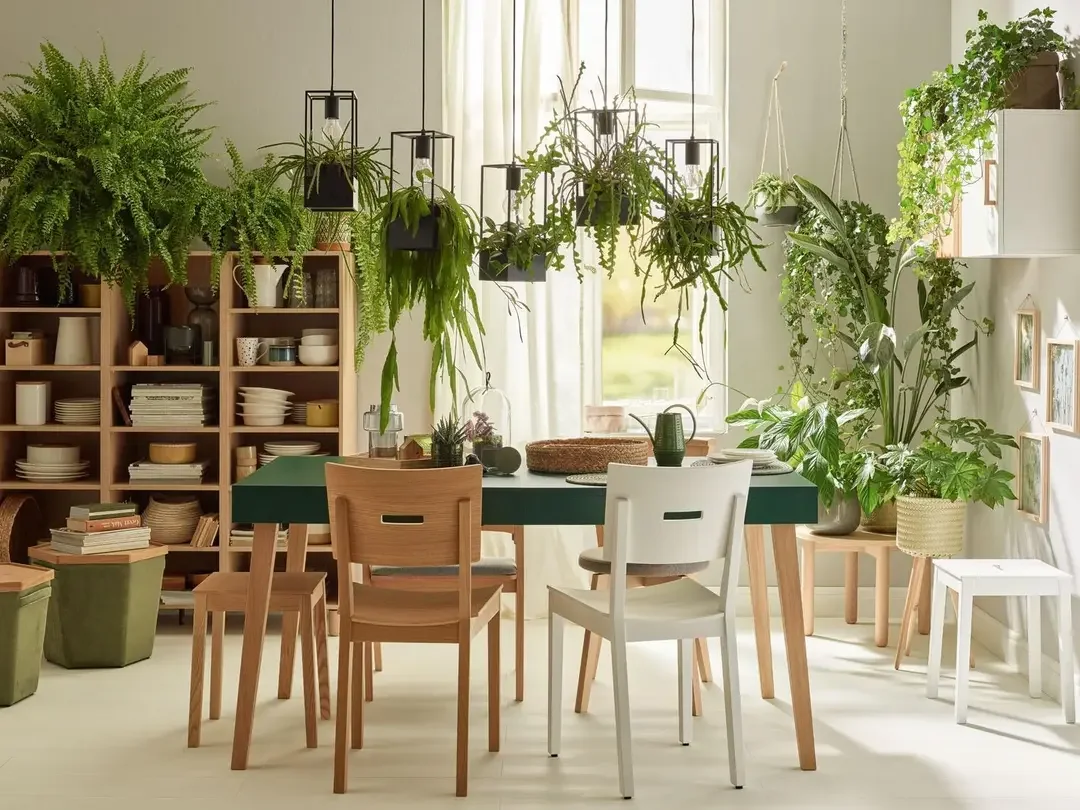 Jadalnia pełna wiszących i stojących roślin